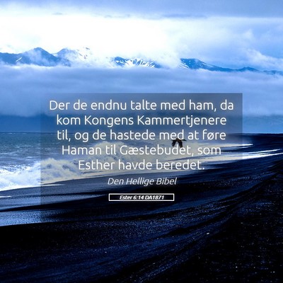 Picture 05 - Ester 6:14 DA1871 - Der de endnu talte med ham, da kom Kongens - Bible Verse Picture