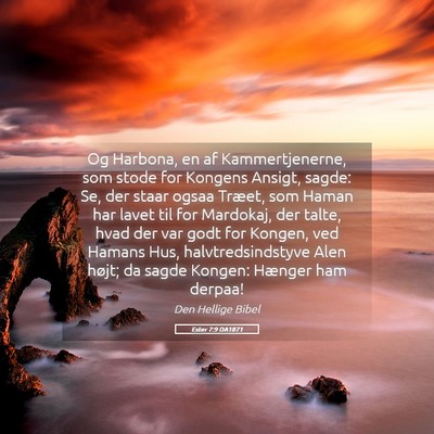 Picture 05 - Ester 7:9 DA1871 - Og Harbona, en af Kammertjenerne, som stode for - Bible Verse Picture