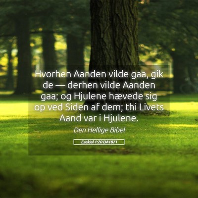 Picture 05 - Ezekiel 1:20 DA1871 - Hvorhen Aanden vilde gaa, gik de — derhen vilde - Bible Verse Picture