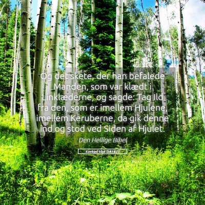 Picture 05 - Ezekiel 10:6 DA1871 - Og det skete, der han befalede Manden, som var - Bible Verse Picture