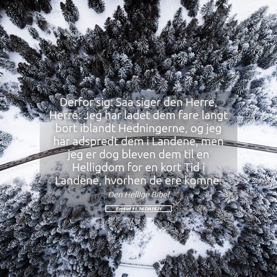 Picture 05 - Ezekiel 11:16 DA1871 - Derfor sig: Saa siger den Herre, Herre: Jeg har - Bible Verse Picture