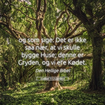 Picture 05 - Ezekiel 11:3 DA1871 - og som sige: Det er ikke saa nær, at vi skulle - Bible Verse Picture