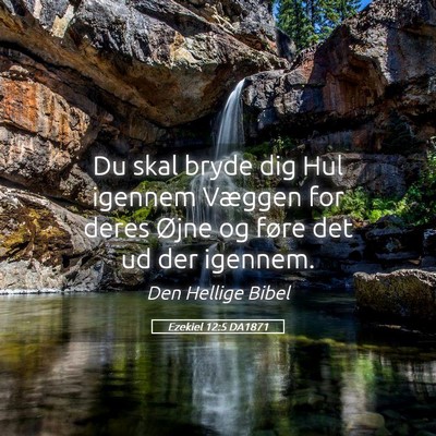 Picture 05 - Ezekiel 12:5 DA1871 - Du skal bryde dig Hul igennem Væggen for deres - Bible Verse Picture