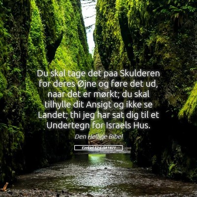 Picture 05 - Ezekiel 12:6 DA1871 - Du skal tage det paa Skulderen for deres Øjne og - Bible Verse Picture