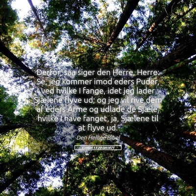 Picture 05 - Ezekiel 13:20 DA1871 - Derfor, saa siger den Herre, Herre: Se, jeg - Bible Verse Picture