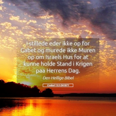 Picture 05 - Ezekiel 13:5 DA1871 - I stillede eder ikke op for Gabet og murede ikke - Bible Verse Picture