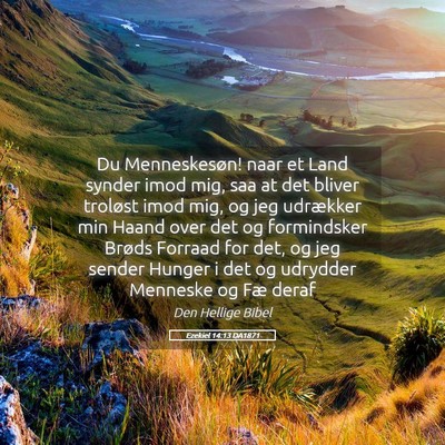 Picture 05 - Ezekiel 14:13 DA1871 - Du Menneskesøn! naar et Land synder imod mig, - Bible Verse Picture