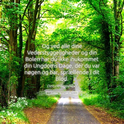 Picture 05 - Ezekiel 16:22 DA1871 - Og ved alle dine Vederstyggeligheder og din Bolen - Bible Verse Picture