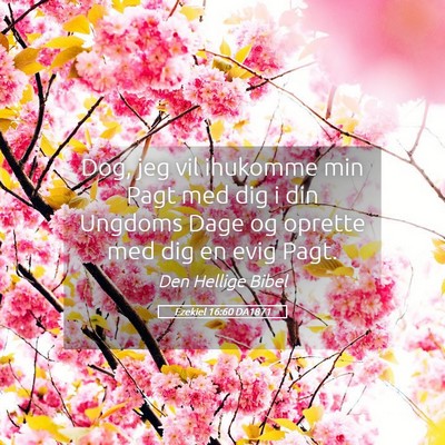 Picture 05 - Ezekiel 16:60 DA1871 - Dog, jeg vil ihukomme min Pagt med dig i din - Bible Verse Picture