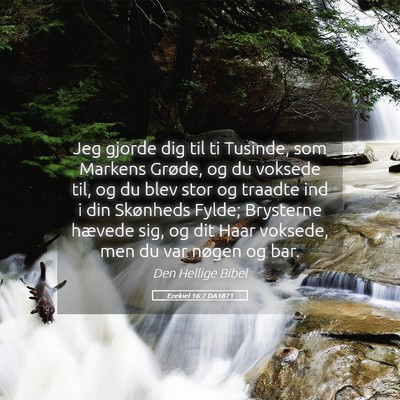Picture 05 - Ezekiel 16:7 DA1871 - Jeg gjorde dig til ti Tusinde, som Markens - Bible Verse Picture