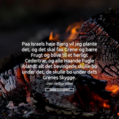 Picture 05 - Ezekiel 17:23 DA1871 - Paa Israels høje Bjerg vil jeg plante det, og - Bible Verse Picture