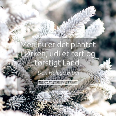Picture 05 - Ezekiel 19:13 DA1871 - Men nu er det plantet i Ørken, udi et tørt og - Bible Verse Picture