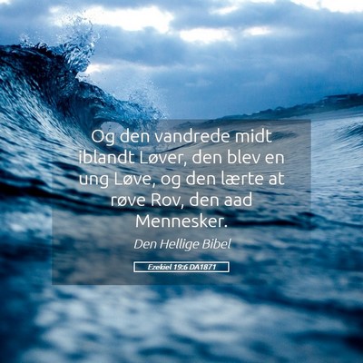 Picture 05 - Ezekiel 19:6 DA1871 - Og den vandrede midt iblandt Løver, den blev en - Bible Verse Picture
