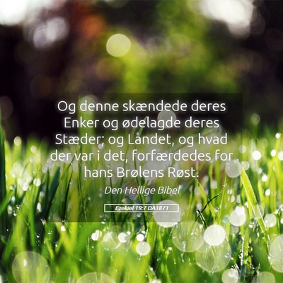 Picture 05 - Ezekiel 19:7 DA1871 - Og denne skændede deres Enker og ødelagde deres - Bible Verse Picture