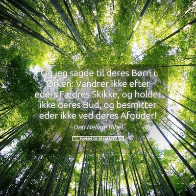 Picture 05 - Ezekiel 20:18 DA1871 - Og jeg sagde til deres Børn i Ørken: Vandrer - Bible Verse Picture