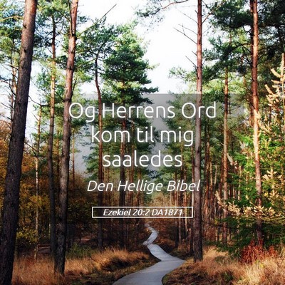 Picture 05 - Ezekiel 20:2 DA1871 - Og Herrens Ord kom til mig - Bible Verse Picture