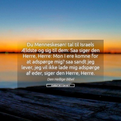 Picture 05 - Ezekiel 20:3 DA1871 - Du Menneskesøn! tal til Israels Ældste og sig - Bible Verse Picture