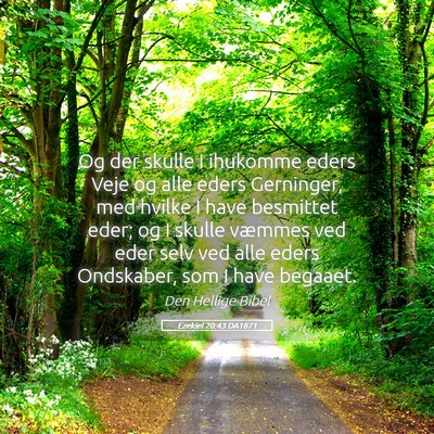 Picture 05 - Ezekiel 20:43 DA1871 - Og der skulle I ihukomme eders Veje og alle eders - Bible Verse Picture