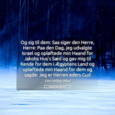 Picture 05 - Ezekiel 20:5 DA1871 - Og sig til dem: Saa siger den Herre, Herre: Paa - Bible Verse Picture