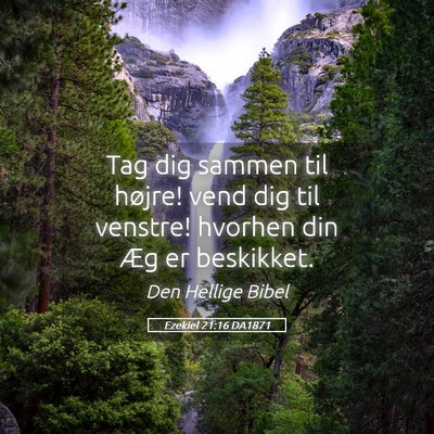Picture 05 - Ezekiel 21:16 DA1871 - Tag dig sammen til højre! vend dig til venstre! - Bible Verse Picture