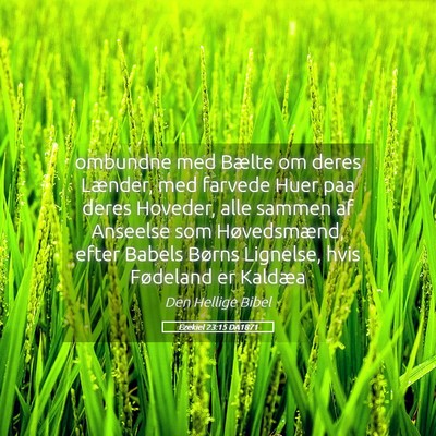 Picture 05 - Ezekiel 23:15 DA1871 - ombundne med Bælte om deres Lænder, med farvede - Bible Verse Picture