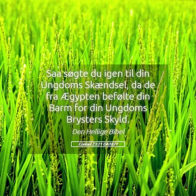 Picture 05 - Ezekiel 23:21 DA1871 - Saa søgte du igen til din Ungdoms Skændsel, da - Bible Verse Picture