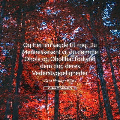 Picture 05 - Ezekiel 23:36 DA1871 - Og Herren sagde til mig: Du Menneskesøn! vil du - Bible Verse Picture