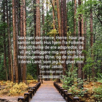 Picture 05 - Ezekiel 28:25 DA1871 - Saa siger den Herre, Herre: Naar jeg samler - Bible Verse Picture