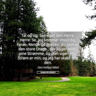 Picture 05 - Ezekiel 29:3 DA1871 - Tal og sig: Saa siger den Herre, Herre: Se, jeg - Bible Verse Picture