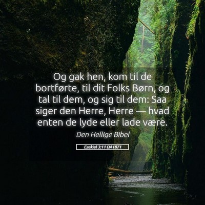 Picture 05 - Ezekiel 3:11 DA1871 - Og gak hen, kom til de bortførte, til dit Folks - Bible Verse Picture