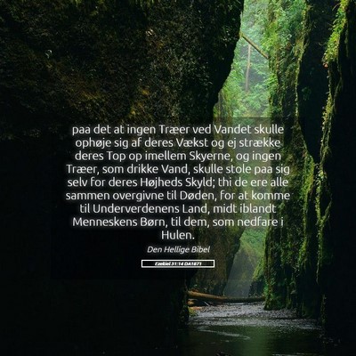 Picture 05 - Ezekiel 31:14 DA1871 - paa det at ingen Træer ved Vandet skulle ophøje - Bible Verse Picture