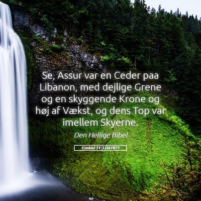 Picture 05 - Ezekiel 31:3 DA1871 - Se, Assur var en Ceder paa Libanon, med dejlige - Bible Verse Picture