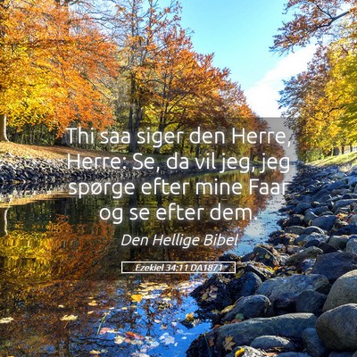 Picture 05 - Ezekiel 34:11 DA1871 - Thi saa siger den Herre, Herre: Se, da vil jeg, - Bible Verse Picture