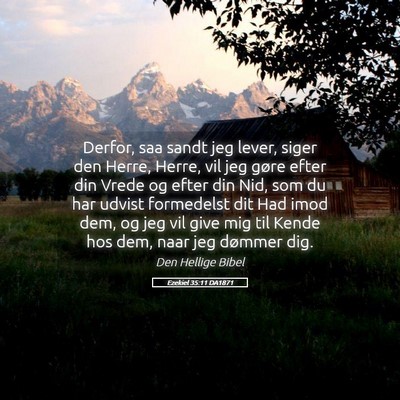 Picture 05 - Ezekiel 35:11 DA1871 - Derfor, saa sandt jeg lever, siger den Herre, - Bible Verse Picture