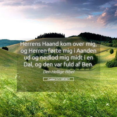 Picture 05 - Ezekiel 37:1 DA1871 - Herrens Haand kom over mig, og Herren førte mig - Bible Verse Picture