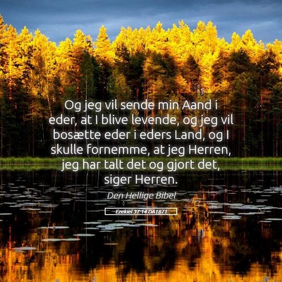 Picture 05 - Ezekiel 37:14 DA1871 - Og jeg vil sende min Aand i eder, at I blive - Bible Verse Picture