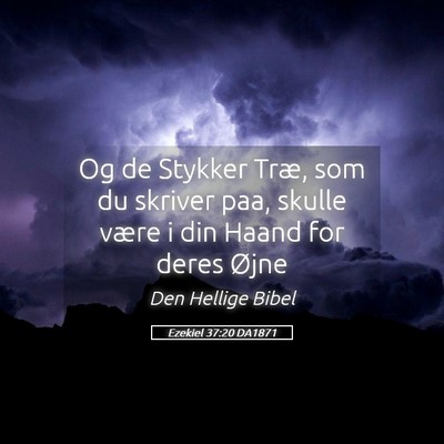 Picture 05 - Ezekiel 37:20 DA1871 - Og de Stykker Træ, som du skriver paa, skulle - Bible Verse Picture