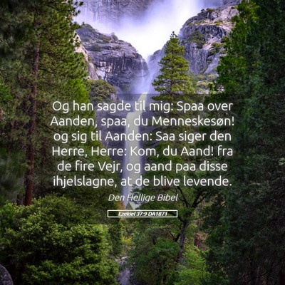 Picture 05 - Ezekiel 37:9 DA1871 - Og han sagde til mig: Spaa over Aanden, spaa, du - Bible Verse Picture