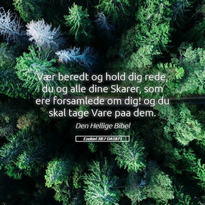 Picture 05 - Ezekiel 38:7 DA1871 - Vær beredt og hold dig rede, du og alle dine - Bible Verse Picture