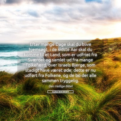 Picture 05 - Ezekiel 38:8 DA1871 - Efter mange Dage skal du blive hjemsøgt, i de - Bible Verse Picture