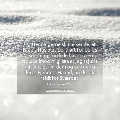 Picture 05 - Ezekiel 39:23 DA1871 - Og Hedningerne skulle kende, at Israels Hus blev - Bible Verse Picture
