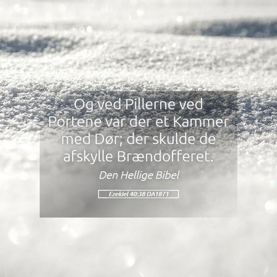 Picture 05 - Ezekiel 40:38 DA1871 - Og ved Pillerne ved Portene var der et Kammer med - Bible Verse Picture