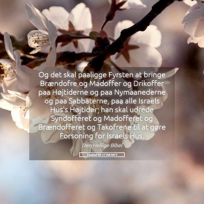 Picture 05 - Ezekiel 45:17 DA1871 - Og det skal paaligge Fyrsten at bringe Brændofre - Bible Verse Picture