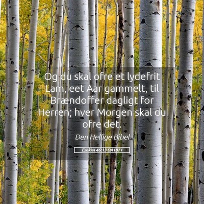 Picture 05 - Ezekiel 46:13 DA1871 - Og du skal ofre et lydefrit Lam, eet Aar gammelt, - Bible Verse Picture
