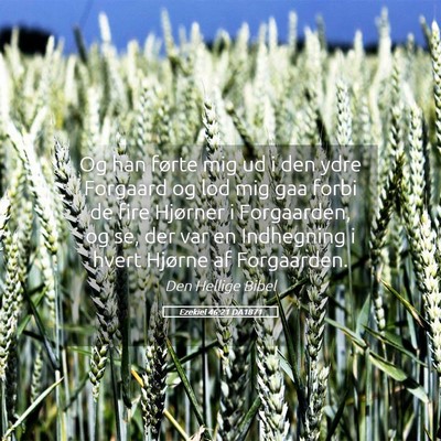 Picture 05 - Ezekiel 46:21 DA1871 - Og han førte mig ud i den ydre Forgaard og lod - Bible Verse Picture