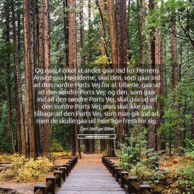 Picture 05 - Ezekiel 46:9 DA1871 - Og naar Folket i Landet gaar ind for Herrens - Bible Verse Picture