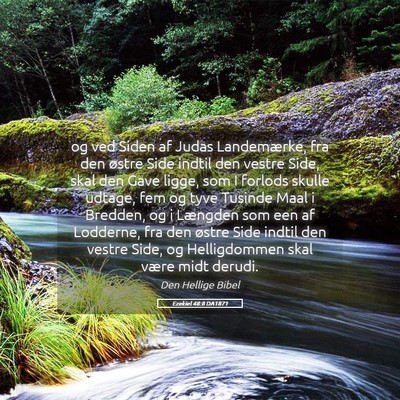 Picture 05 - Ezekiel 48:8 DA1871 - og ved Siden af Judas Landemærke, fra den østre - Bible Verse Picture