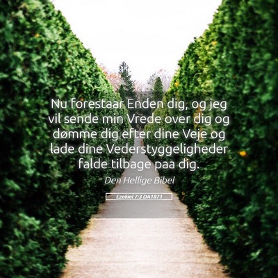 Picture 05 - Ezekiel 7:3 DA1871 - Nu forestaar Enden dig, og jeg vil sende min - Bible Verse Picture