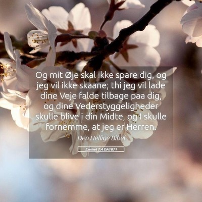 Picture 05 - Ezekiel 7:4 DA1871 - Og mit Øje skal ikke spare dig, og jeg vil ikke - Bible Verse Picture