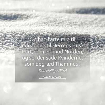 Picture 05 - Ezekiel 8:14 DA1871 - Og han førte mig til Indgangen til Herrens Hus's - Bible Verse Picture
